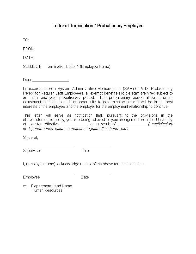 60 day probation period letter template