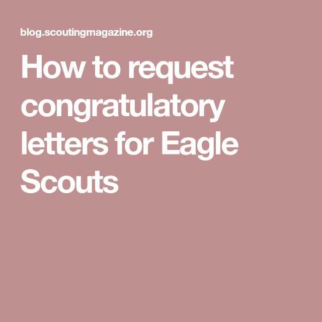 eagle scout project donation letter template