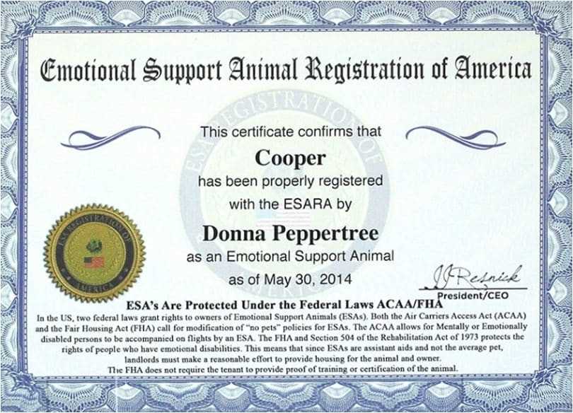 emotional support animal letter template florida