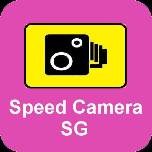speed camera letter template