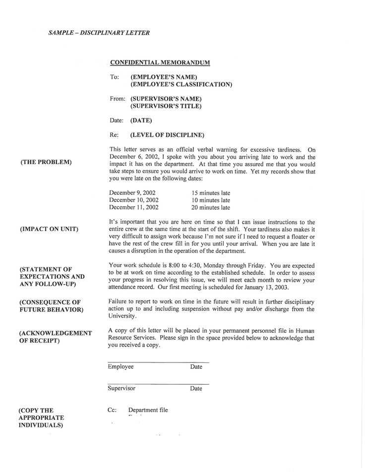 army letter of reprimand template