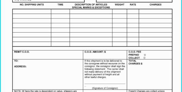 blank shippers letter of instruction template