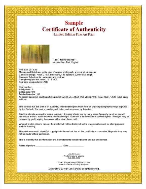 letter of authenticity template