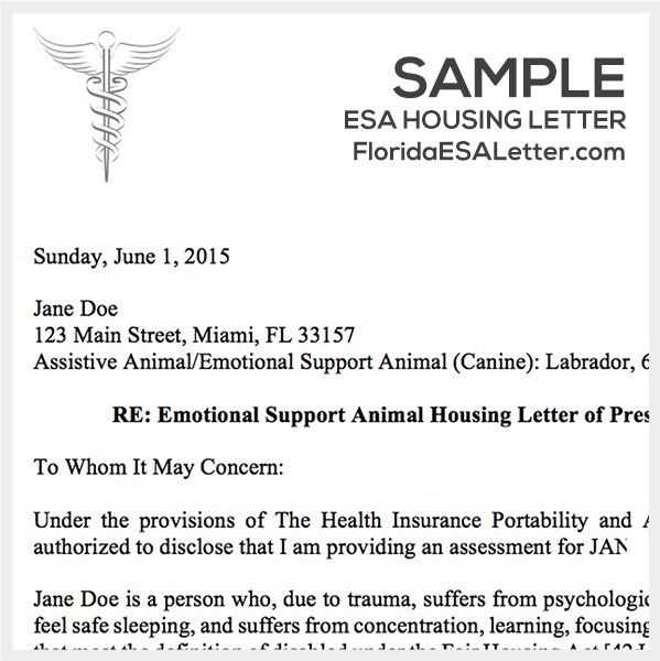 ywam support letter template