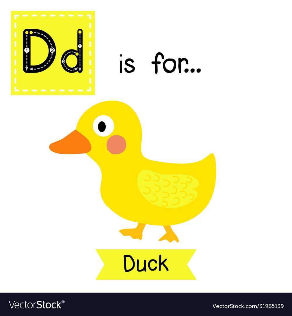 letter d duck template