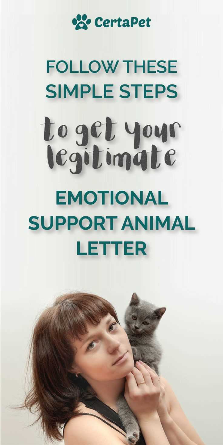 emotional support animal letter template