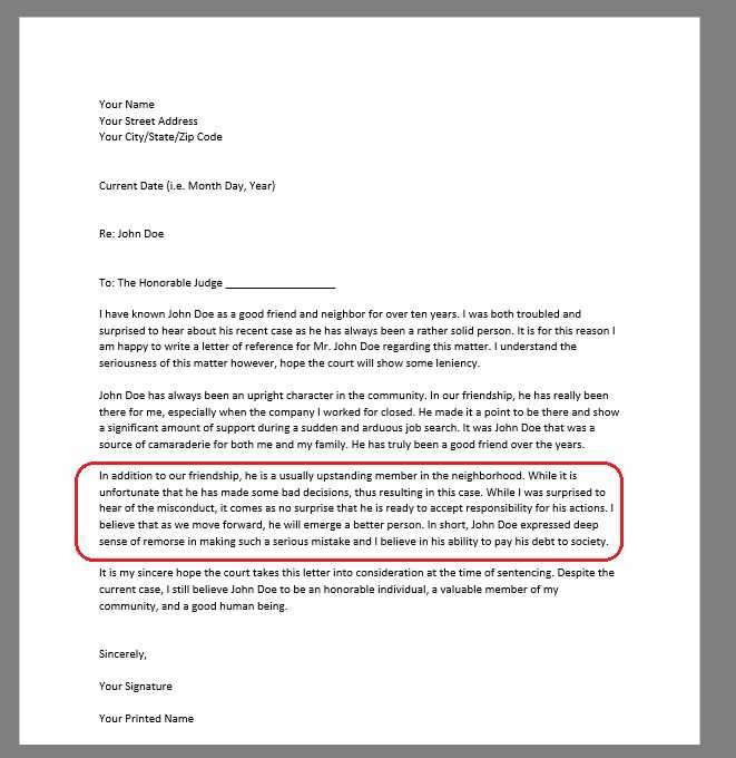 template for court character reference letter