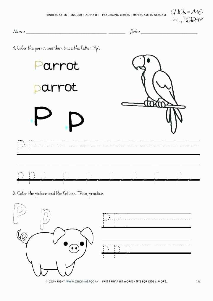 letter p template preschool