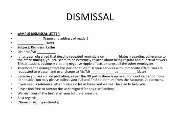plea letter template