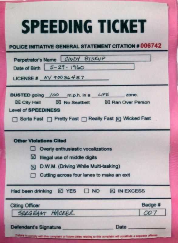 fake speeding ticket letter template