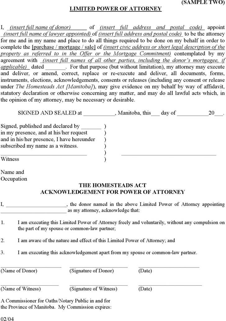 power of attorney letter template free