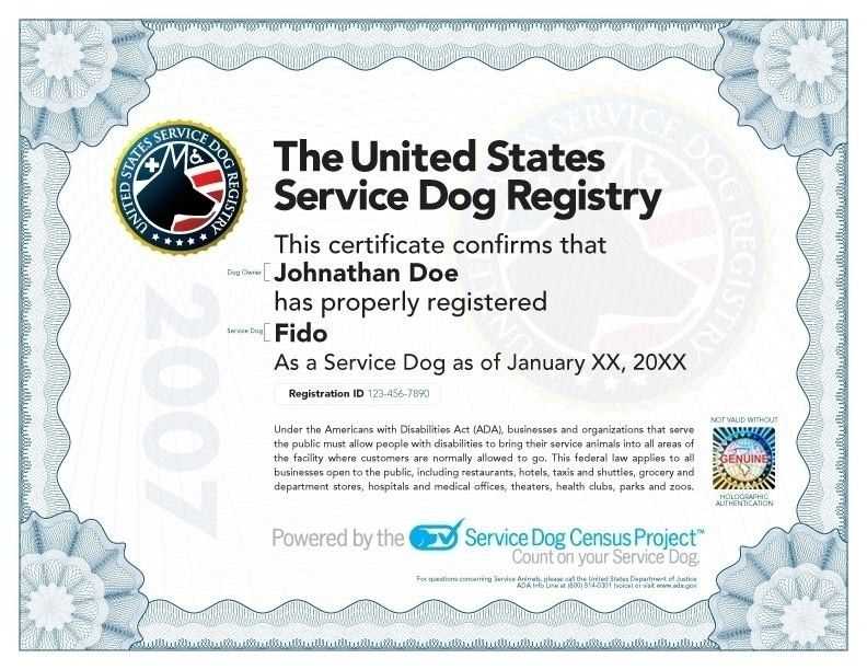 service dog letter template pdf