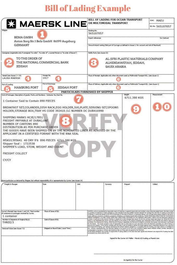 shippers letter of instruction template pdf