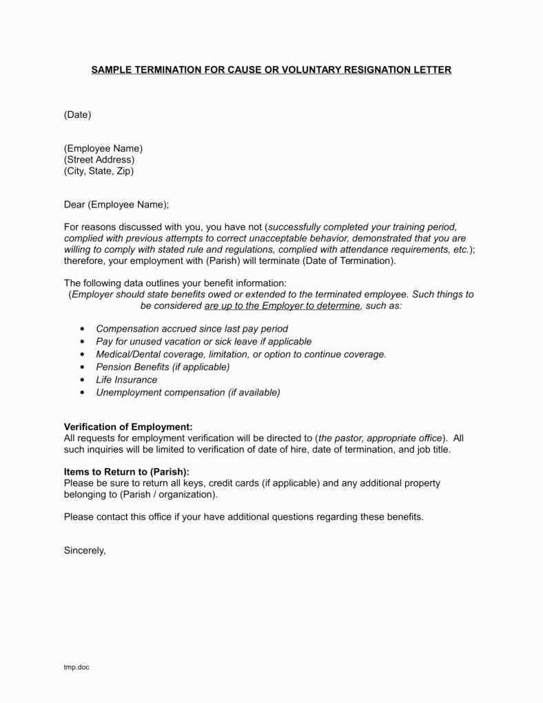 voluntary termination letter template