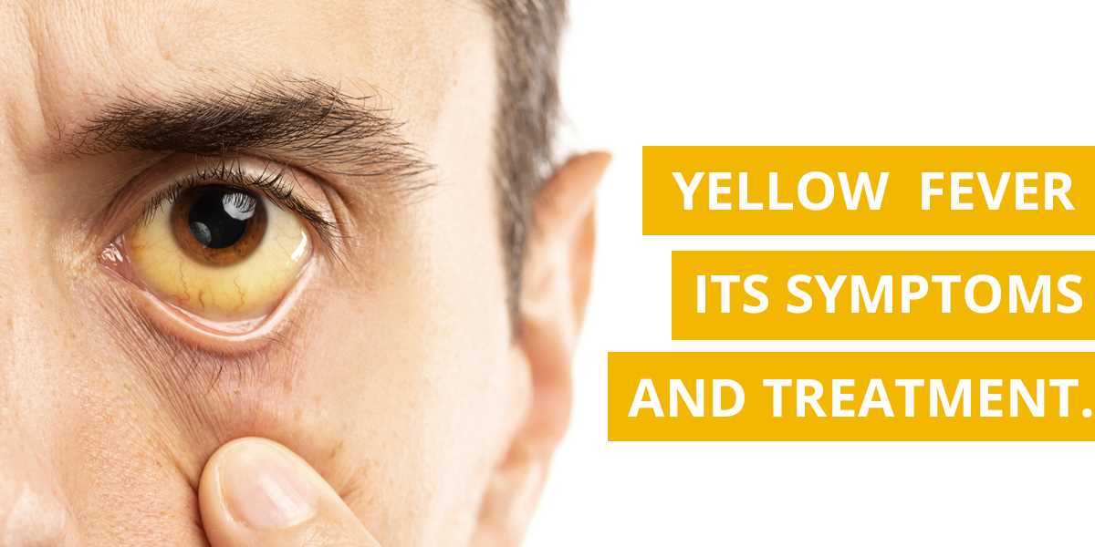 yellow fever exemption letter template