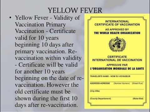 yellow fever exemption letter template